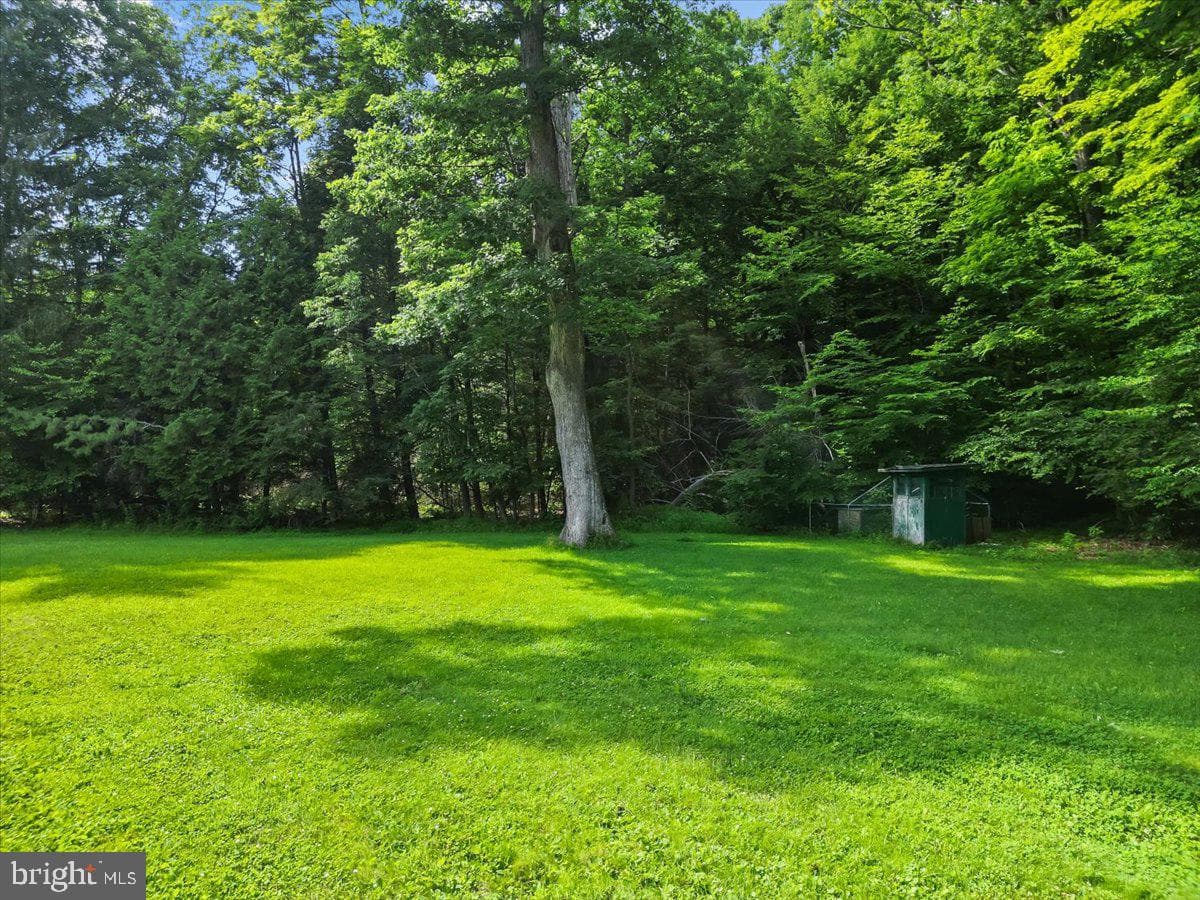 3623 Bear Creek Road photo 20