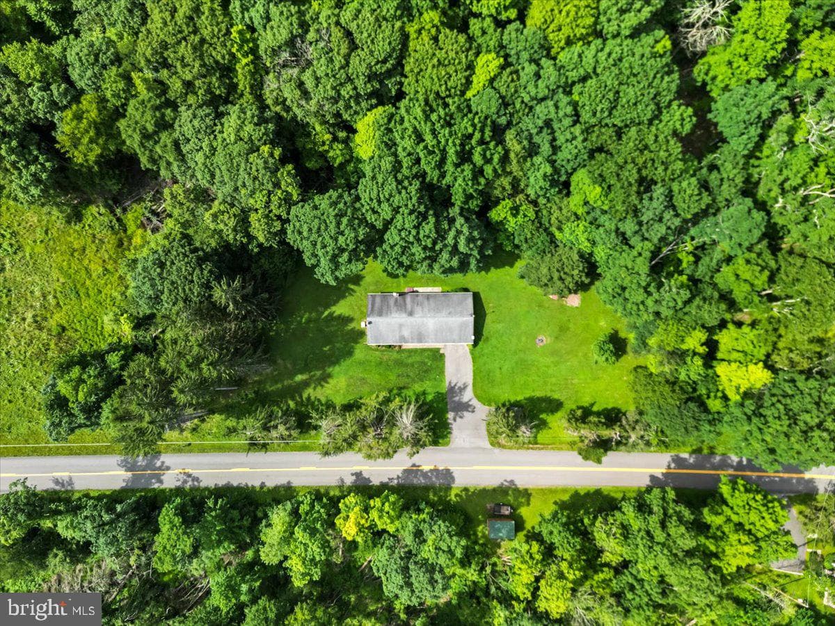 3623 Bear Creek Road photo 23