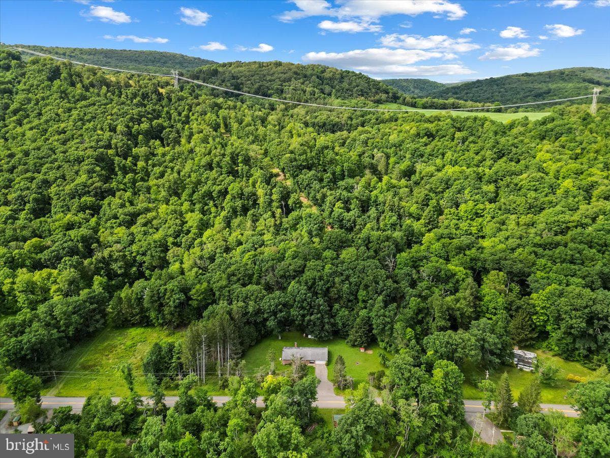 3623 Bear Creek Road photo 25