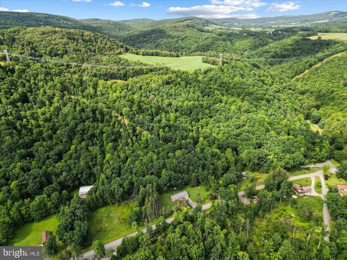 3623 Bear Creek Road photo 26