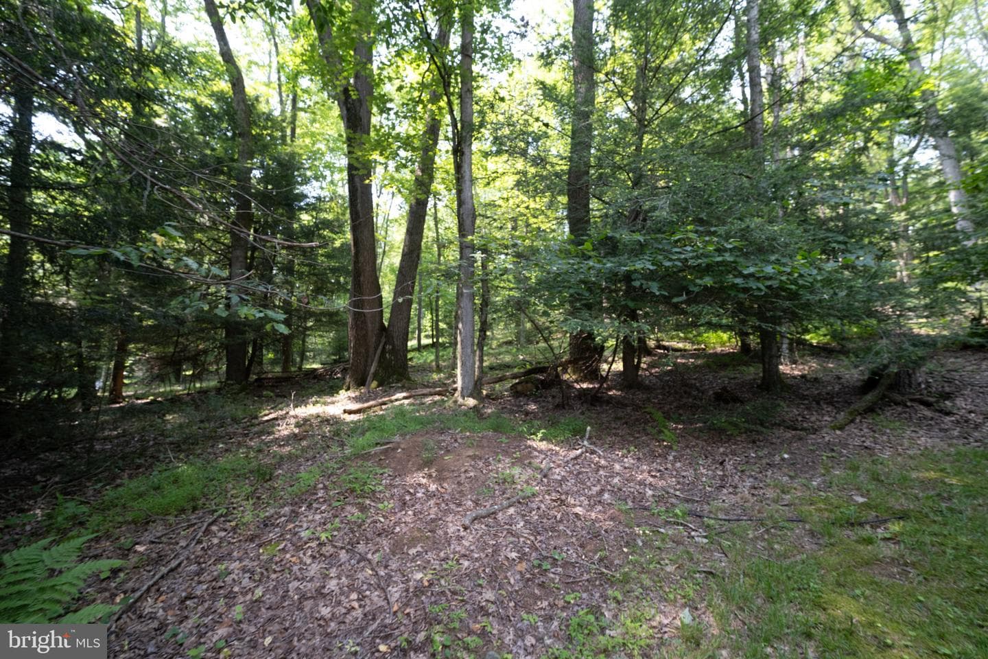 639 Hemlock Road photo 48