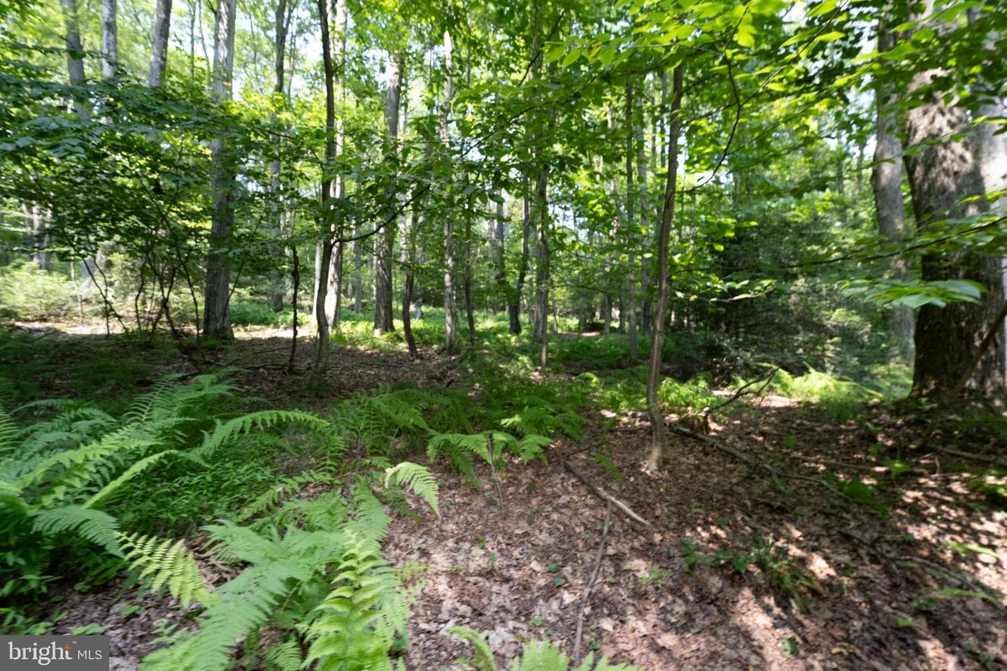 639 Hemlock Road photo 49