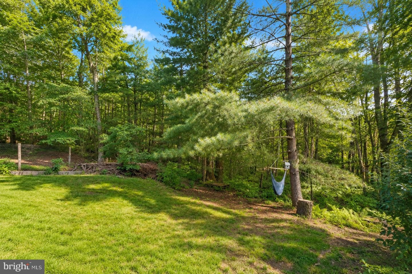 22 Shady Hill Drive photo 47