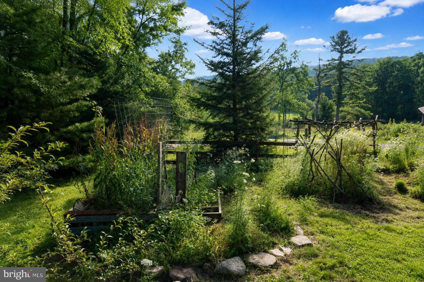 22 Shady Hill Drive photo 52