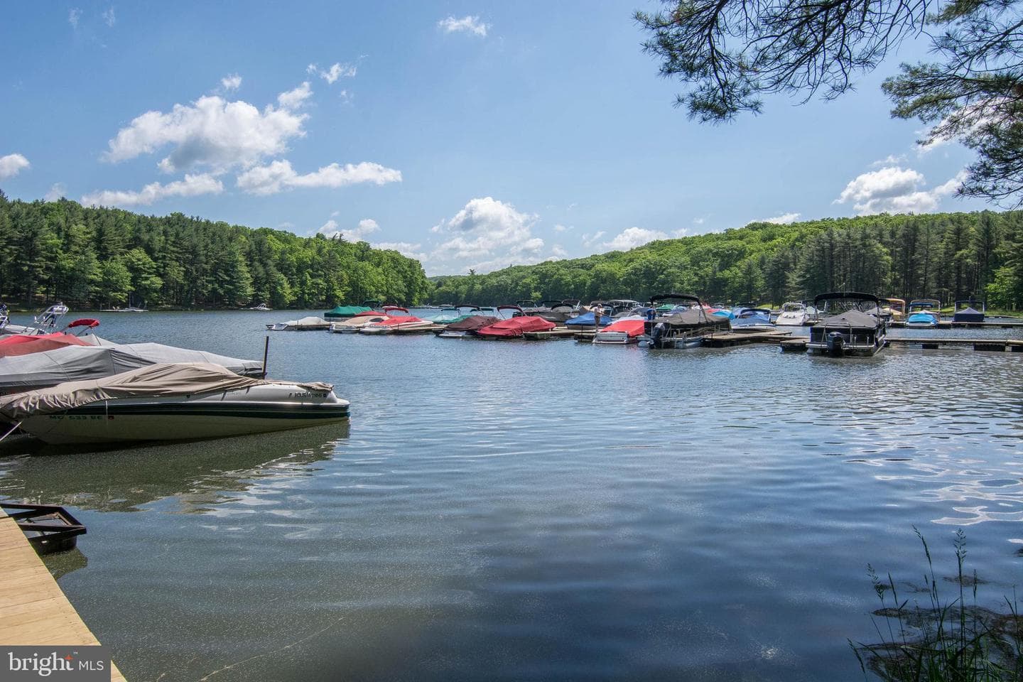 527 Deer Run Lane photo 70