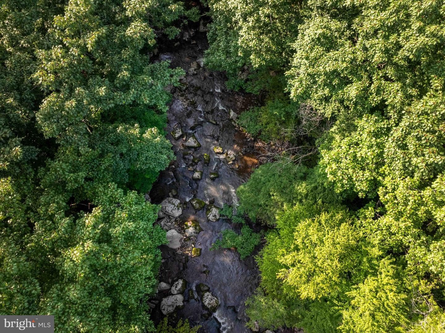 516 Bear Creek Road photo 58