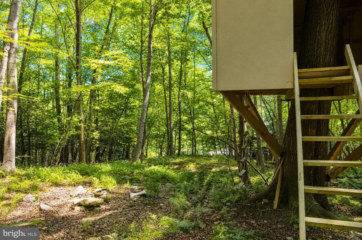 2153 Rock Lodge Road photo 73