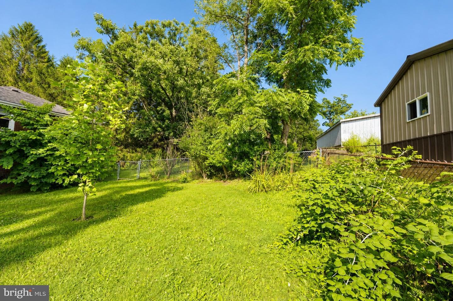 509 E Street photo 6