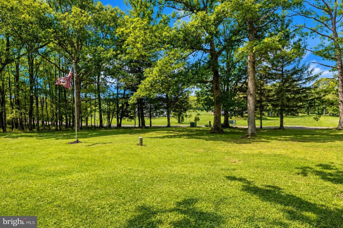 718 Boy Scout Crosscut Road photo 38