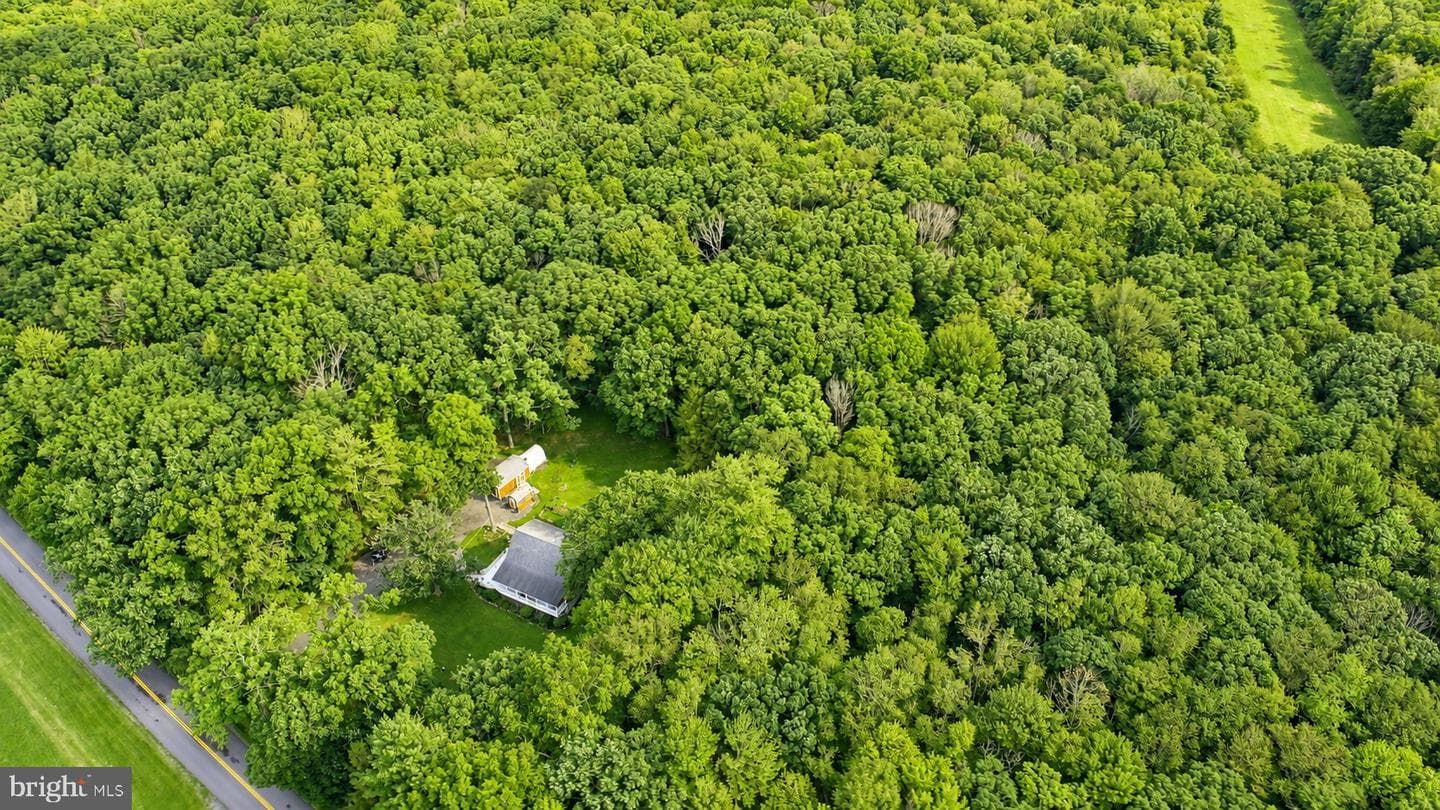 718 Boy Scout Crosscut Road photo 48