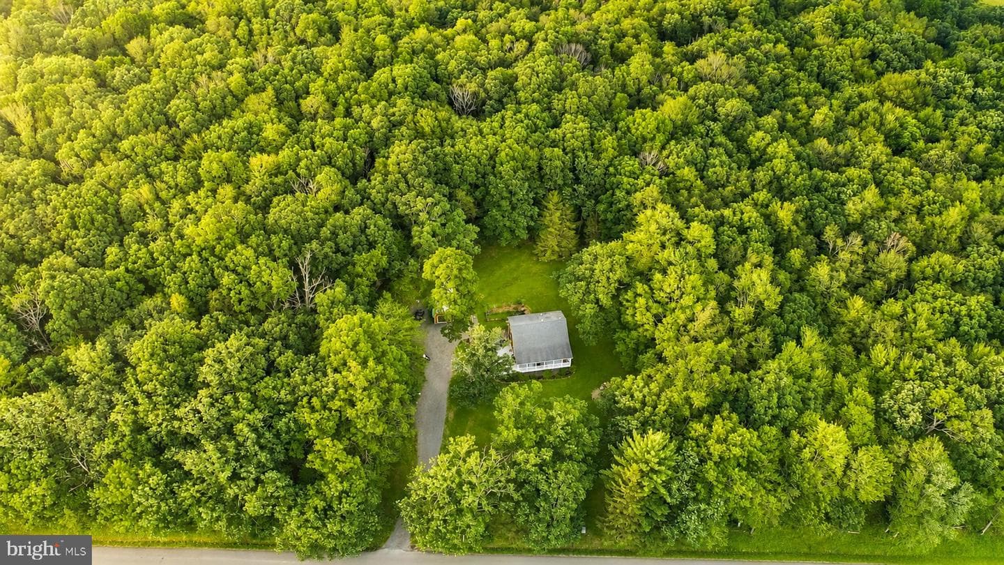 718 Boy Scout Crosscut Road photo 49