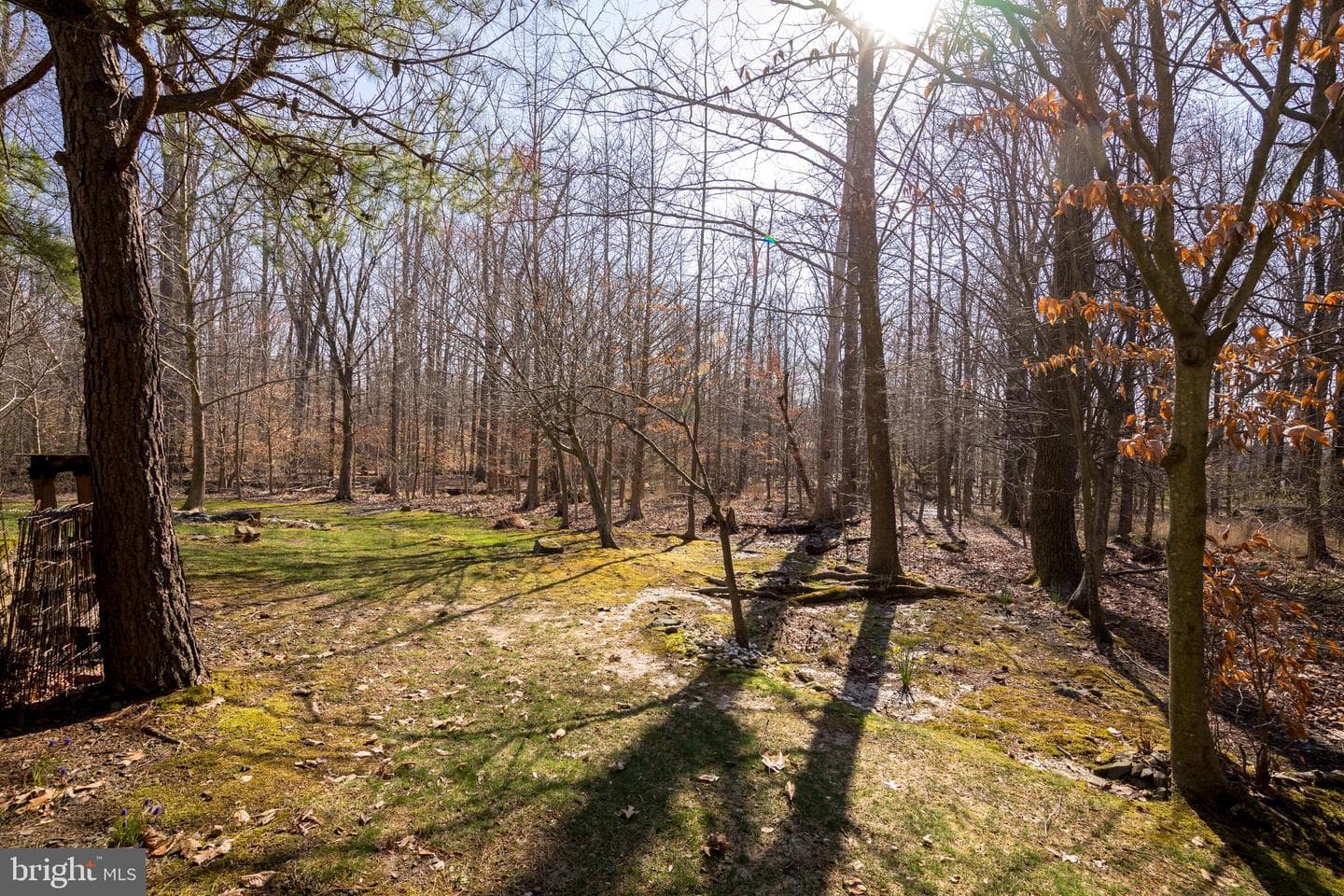 567 Beards Hill Road photo 39