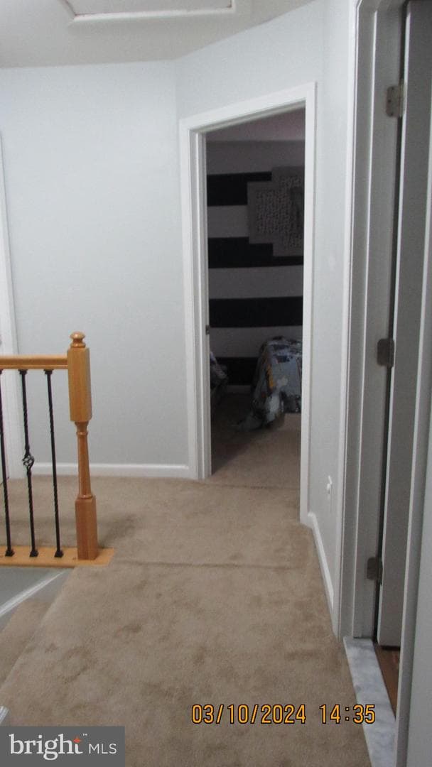 1016 Irwins Choice photo 36
