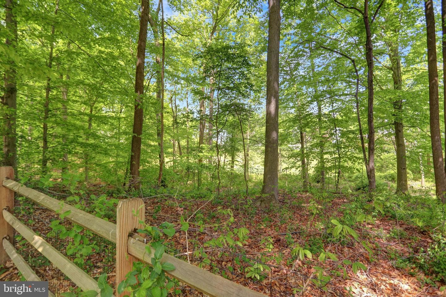 1503 Chapel Road photo 57