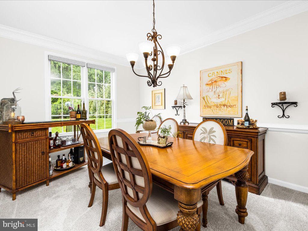 1803 Morning Brook Drive photo 49