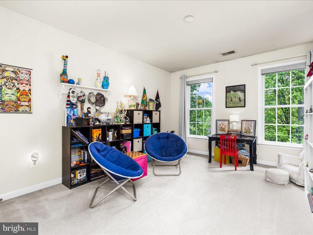 1803 Morning Brook Drive photo 50