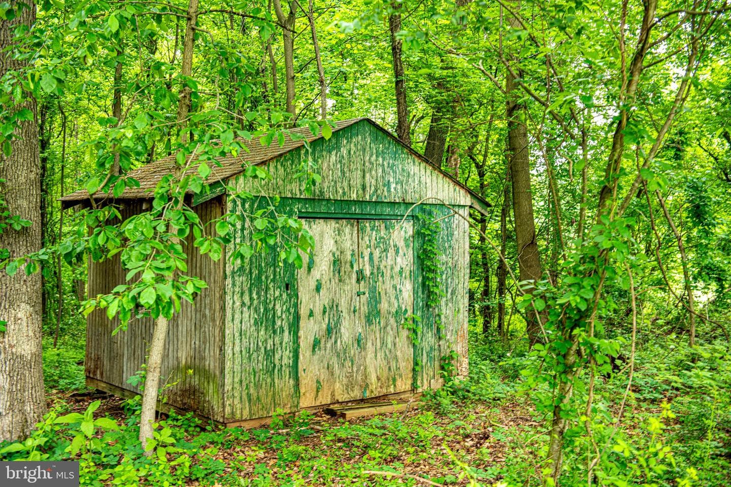 2654 Dublin Road photo 45