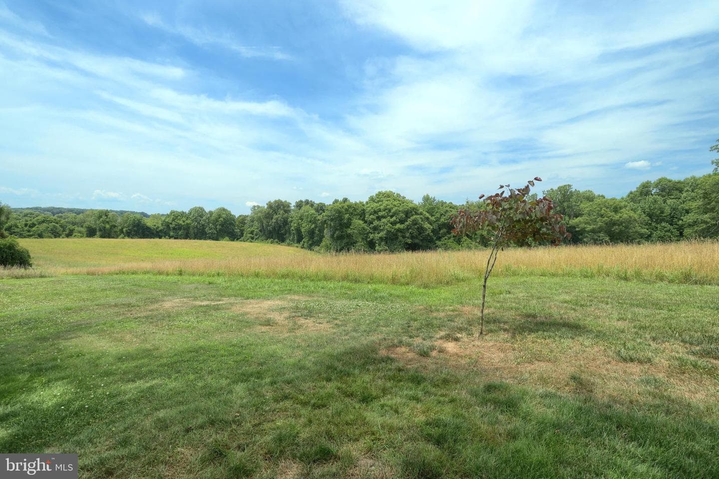 1511 Ryan Road photo 9