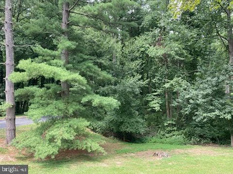 2005 Montford Drive photo 48