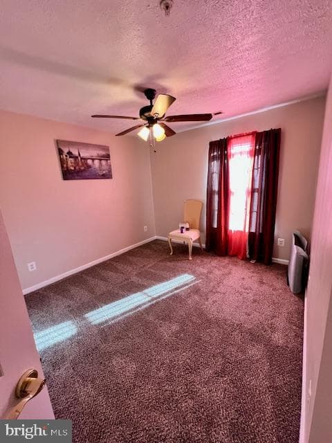 208 Merlin Drive photo 20