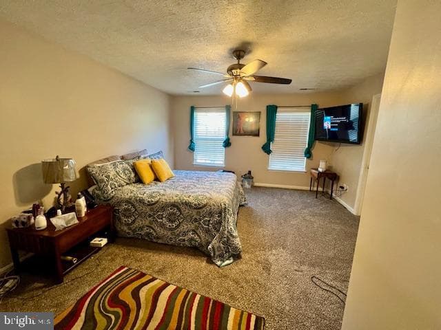208 Merlin Drive photo 26