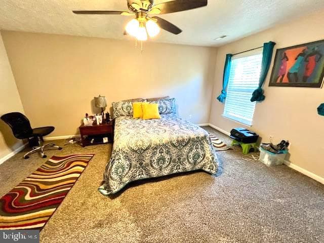 208 Merlin Drive photo 28