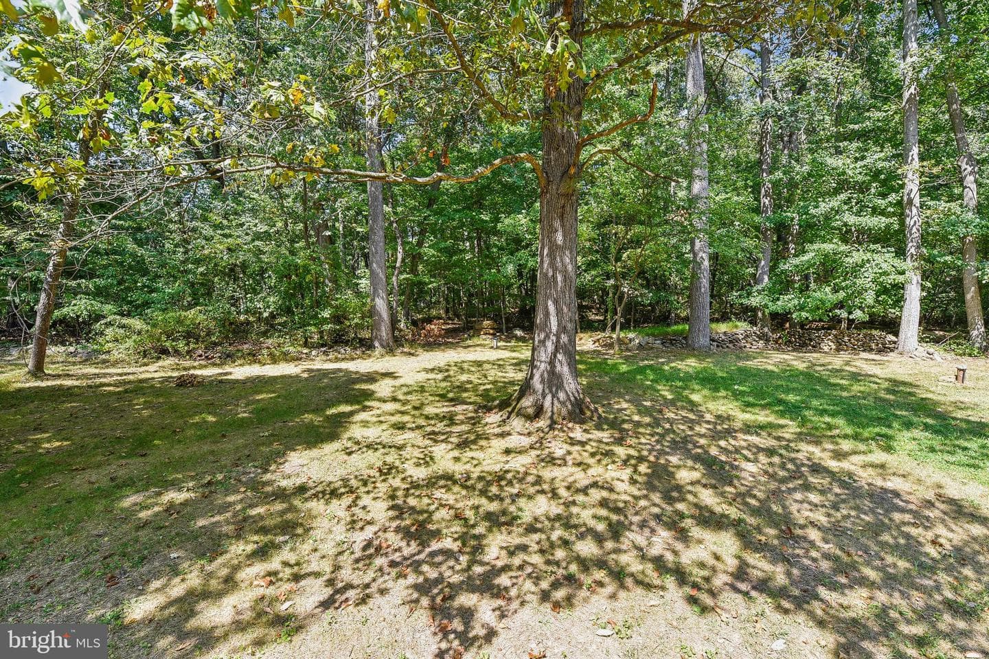 2728 Meadow Tree Drive photo 29