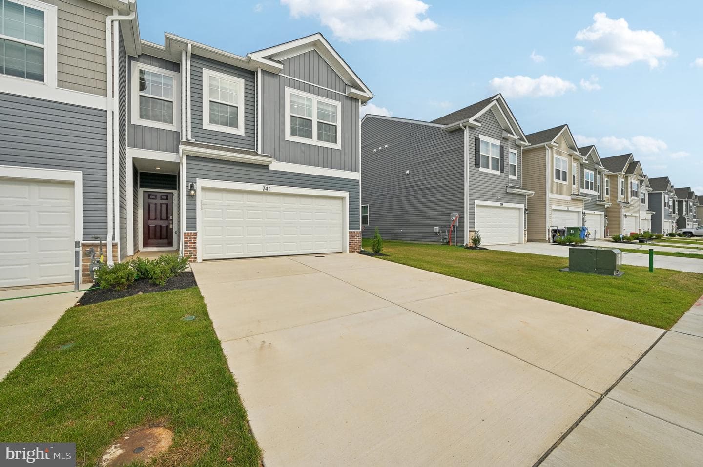 687 Beadlilly Way photo 52