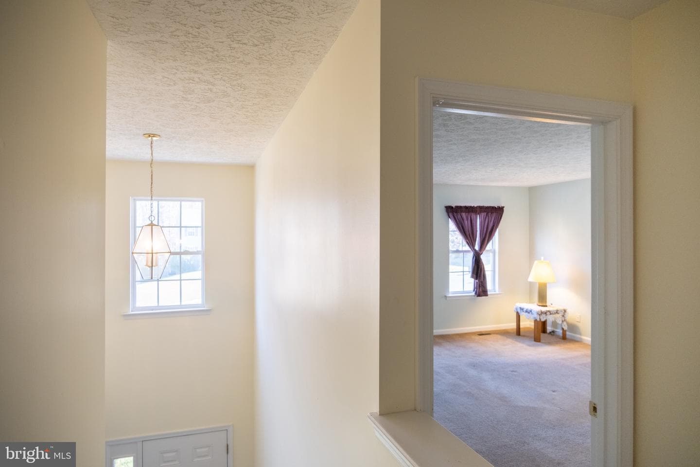 3150 Birch Brook Lane photo 28