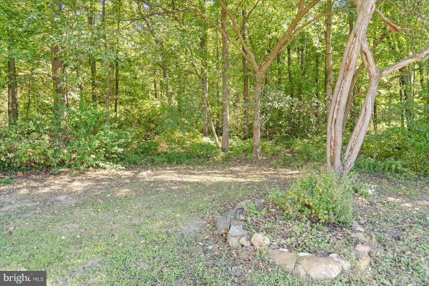 101 Oak Street photo 37