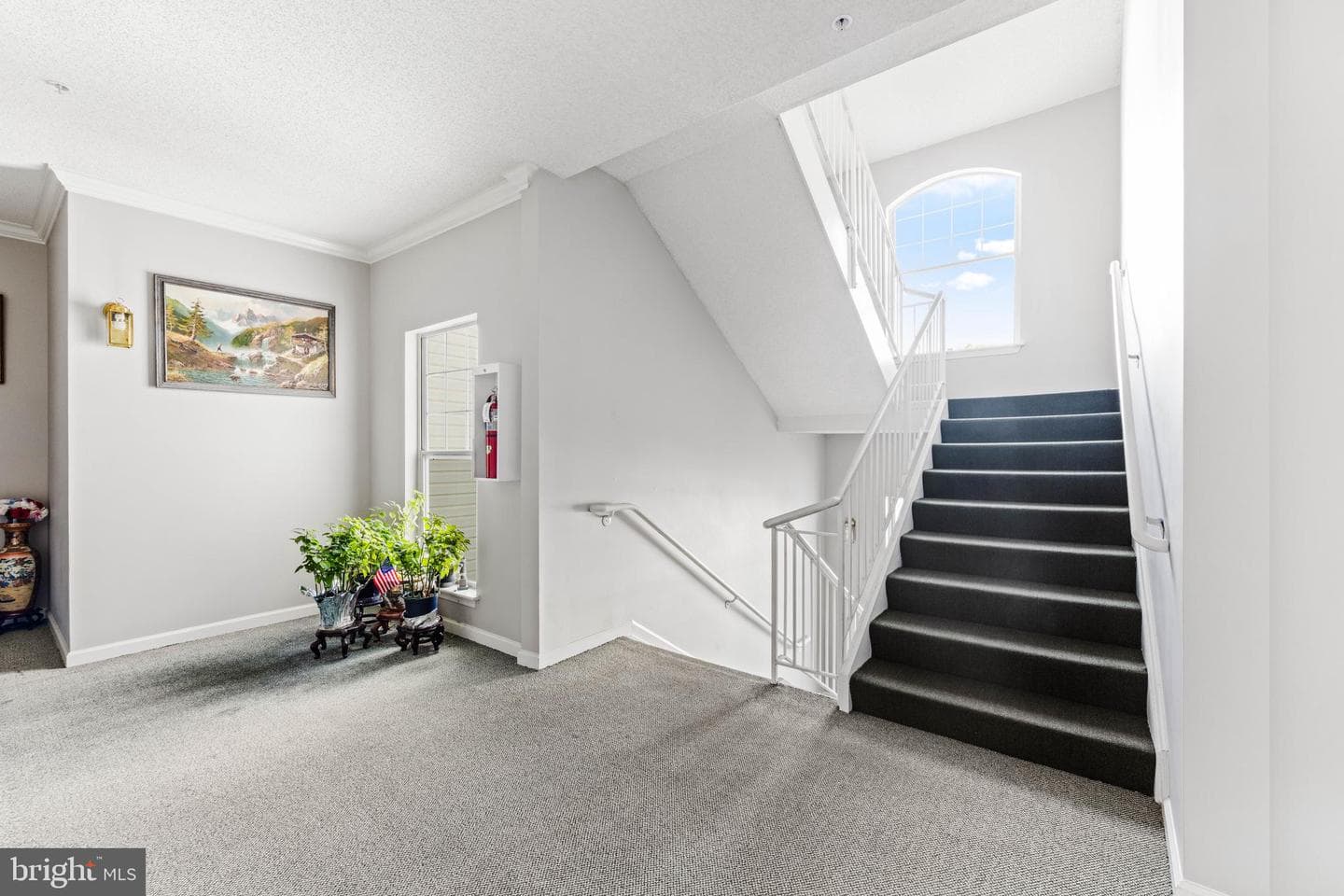 1313 Cranesbill Court #202 photo 32