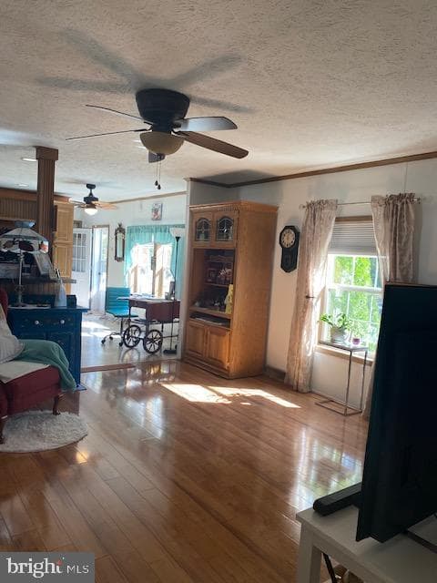 1201 Abinchar Drive photo 10