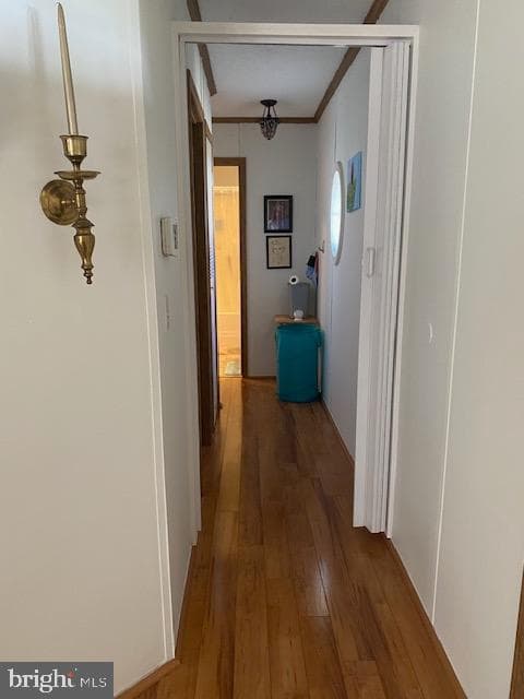 1201 Abinchar Drive photo 15