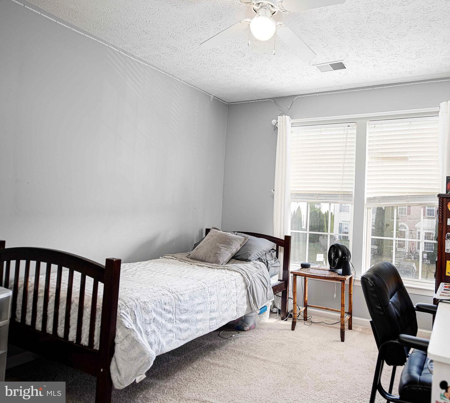 5065 Bristle Cone Circle photo 22