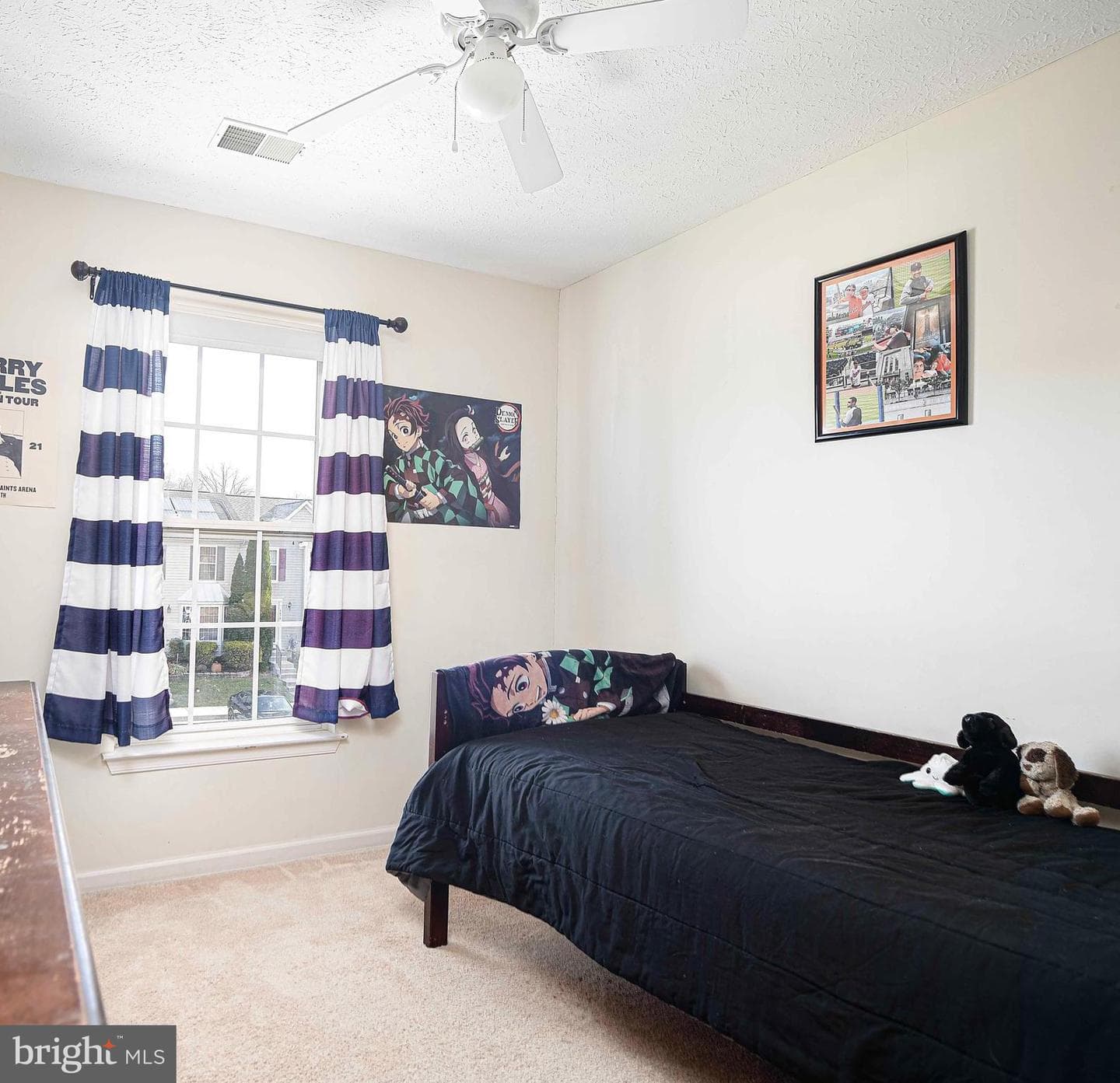 5065 Bristle Cone Circle photo 23