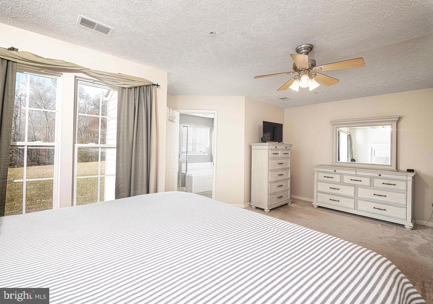 5065 Bristle Cone Circle photo 25