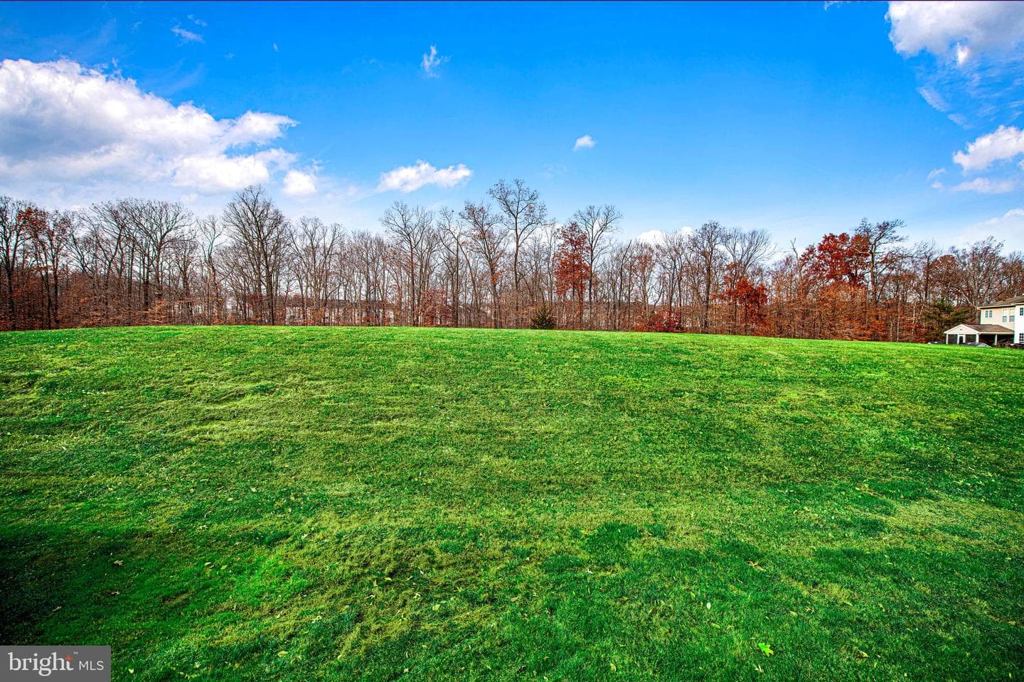 5065 Bristle Cone Circle photo 37