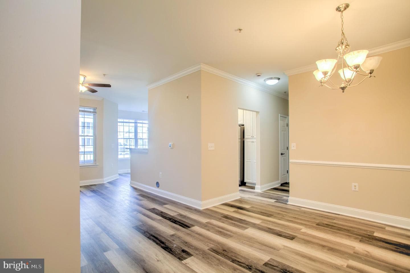 1818 Selvin Drive #101 photo 5