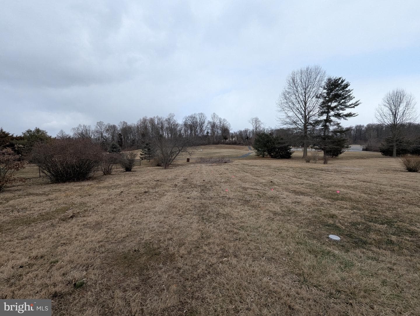 919 Luke Street photo 23