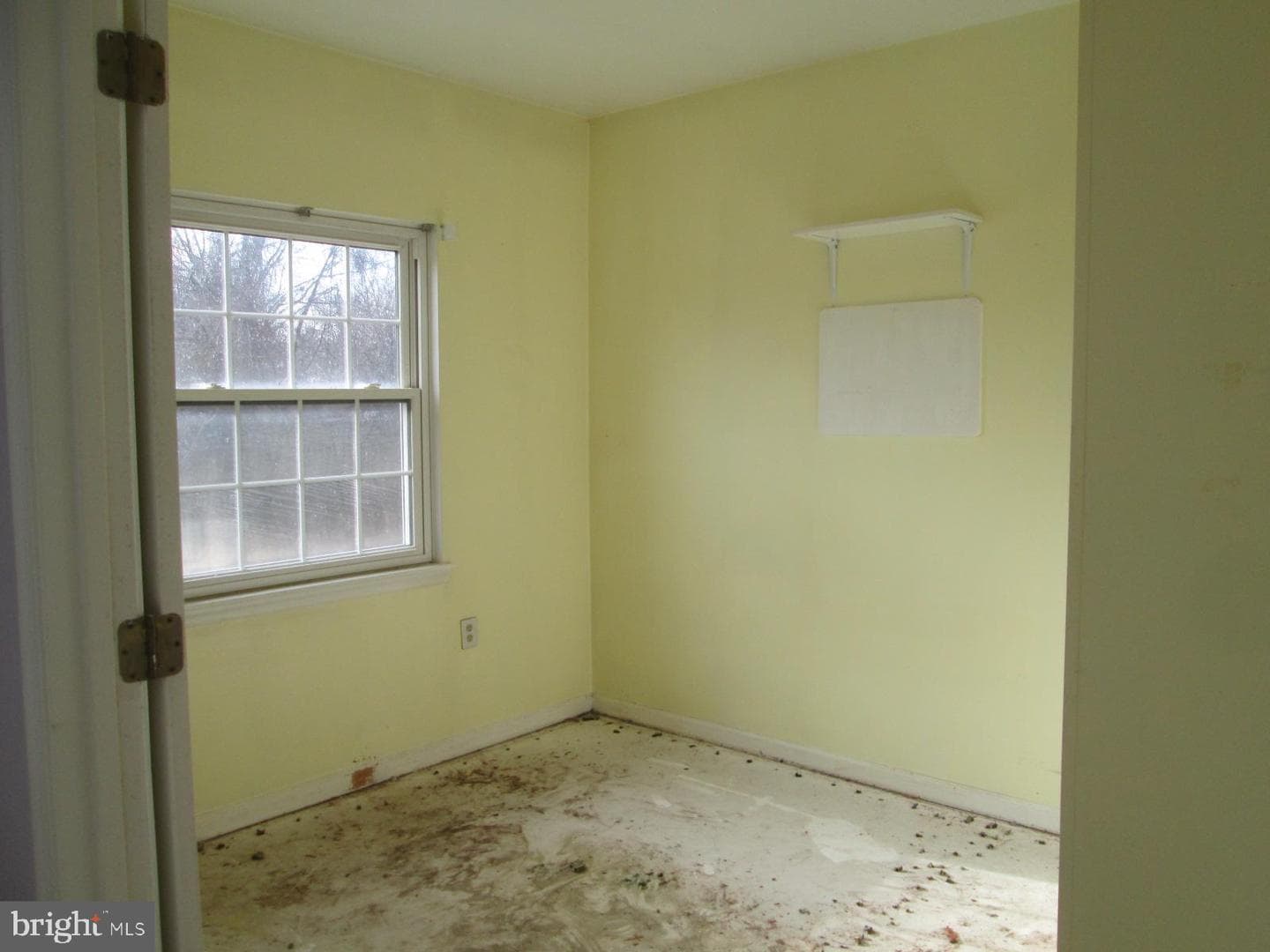 1206 Bramble Wood #204 photo 17