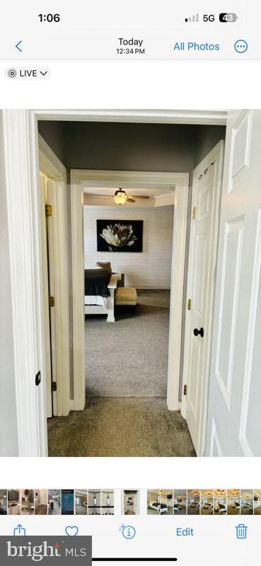 110 Bower Lane photo 34