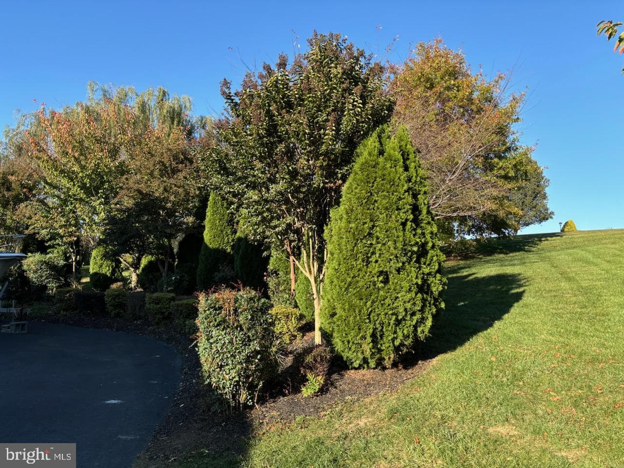 110 Bower Lane photo 52