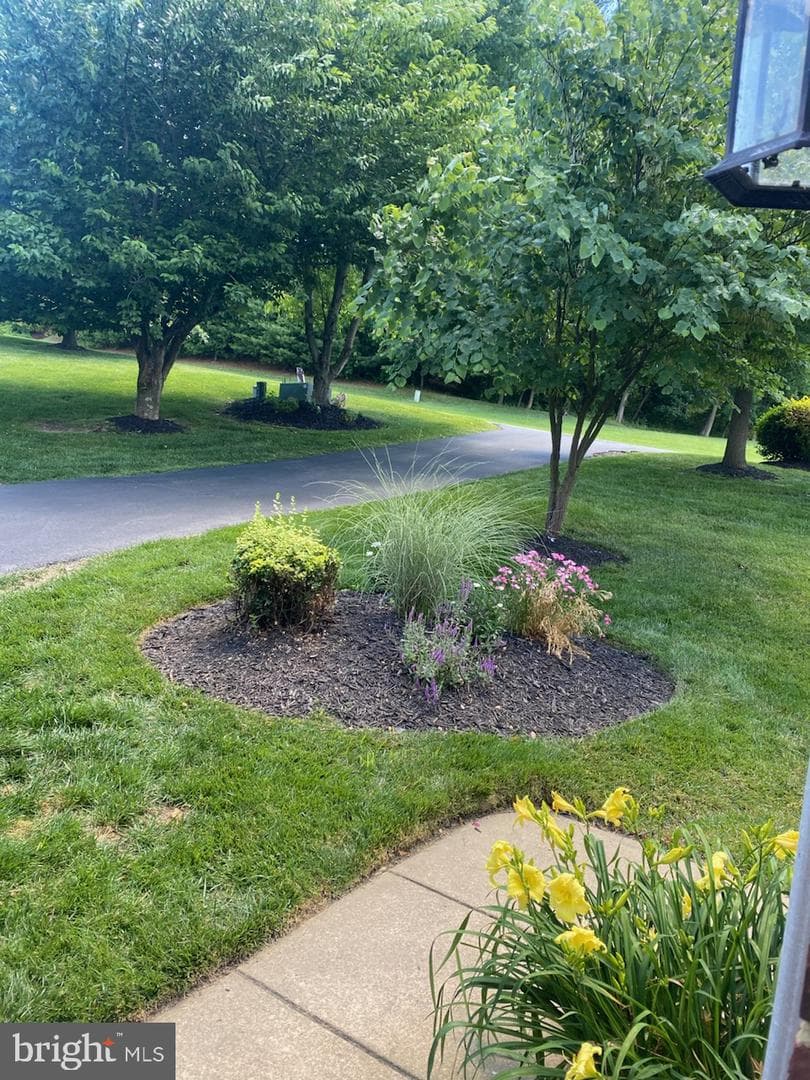 110 Bower Lane photo 56