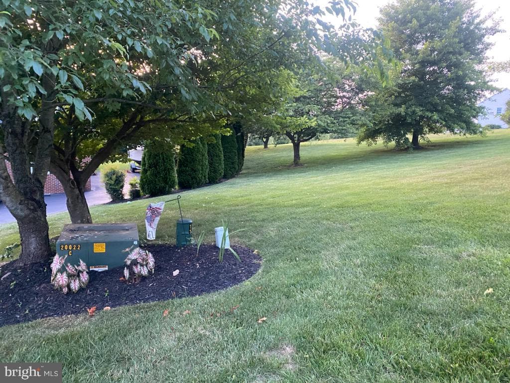 110 Bower Lane photo 57