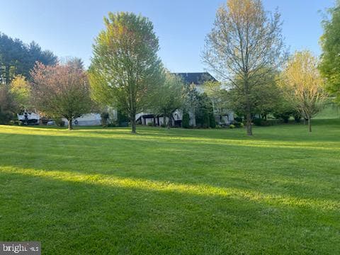 110 Bower Lane photo 60