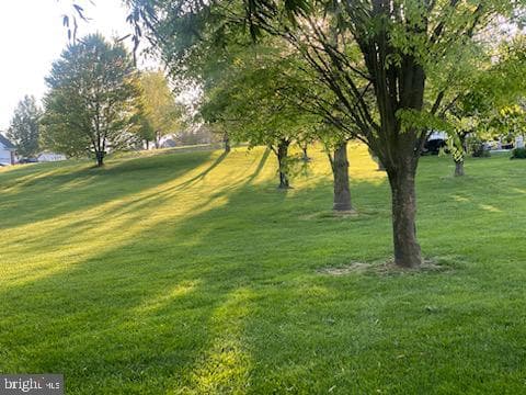 110 Bower Lane photo 61
