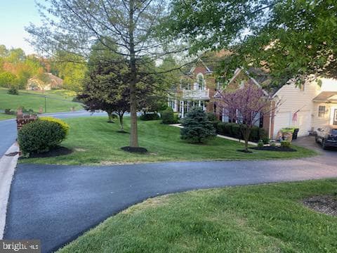 110 Bower Lane photo 62
