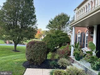 110 Bower Lane photo 8