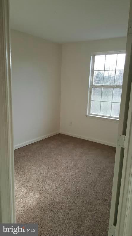 4406 Tolchester Court photo 11