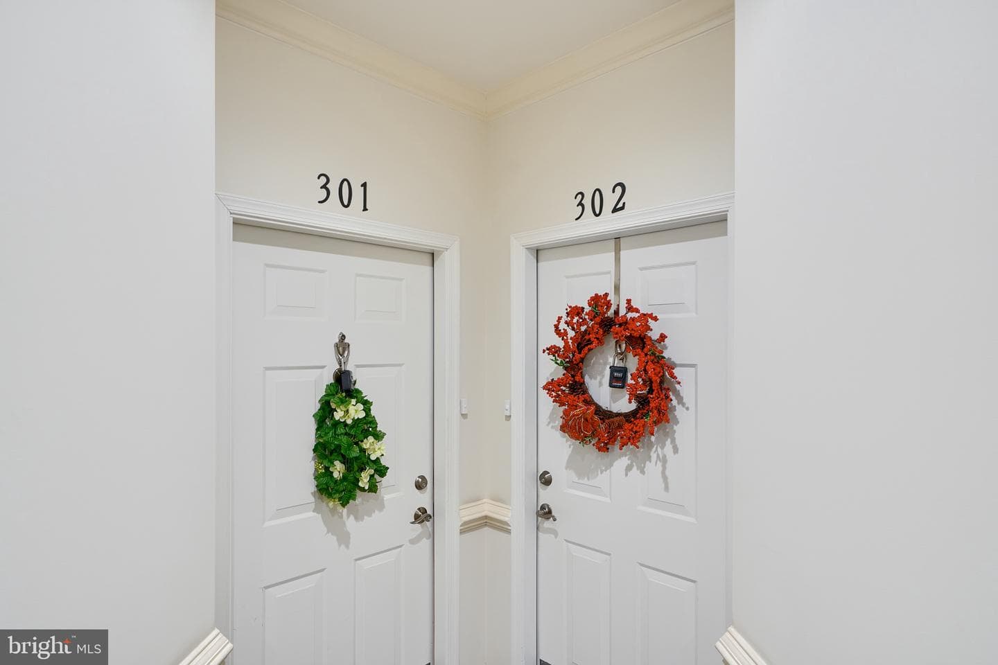 1813 Selvin Drive #301 photo 4